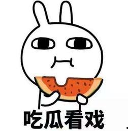 独家爆料吃瓜必看,吃瓜必看，那些你不知道的内幕故事