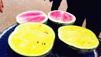 南京吃瓜爆料,吃瓜群众揭秘南京美食江湖风云