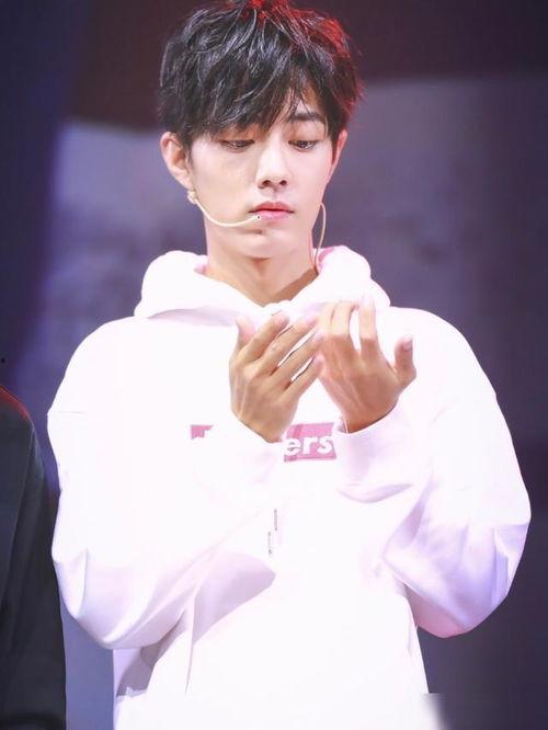 吃瓜大爆料肖战,吃瓜大爆料背后的真相与反思